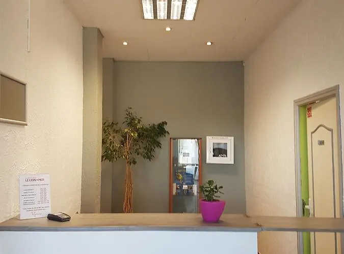 Village Vacances Le Lion De Mer 2*